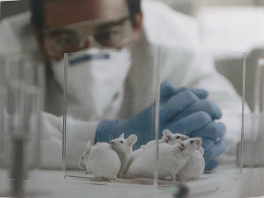 凈化車間裝修醫(yī)院凈化工程資質(zhì)怎么申請？